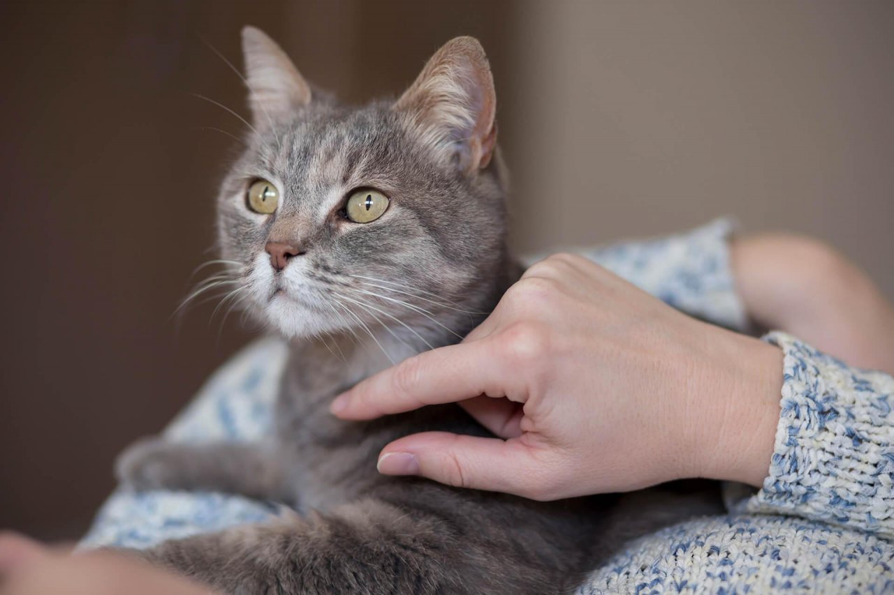 BB Maden-Madenlerimiz